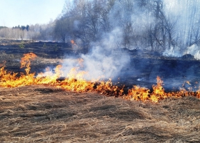 Сжигание сухой травы – опасно для жизни и имущества!