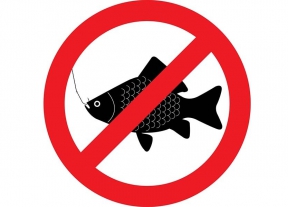 О запрете ловли рыбы на водоемах Орловской области