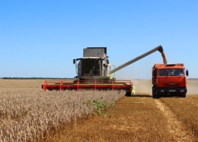 В Орловской области намолотили 3.5 млн тон зерна